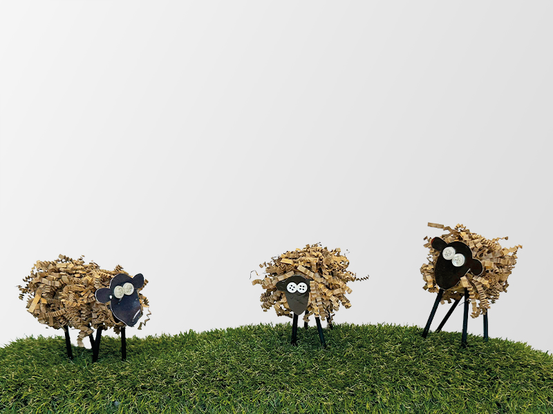 Ewe-Tube